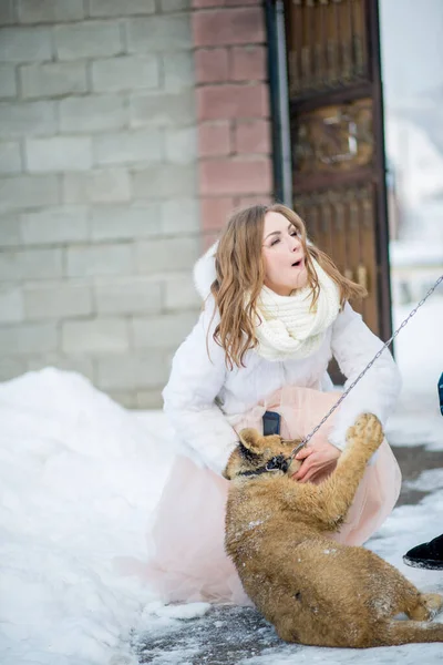 Young Beautiful Woman Posing Outdoors Winter Lion Cub — Stock Photo, Image