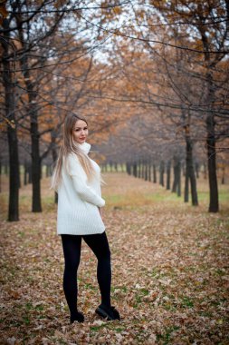 Güz parkında poz veren güzel bir kadın. 