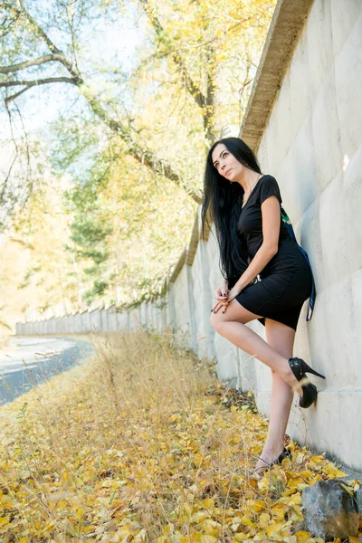 Hermosa Mujer Morena Posando Aire Libre Usando Vestido Negro — Foto de Stock