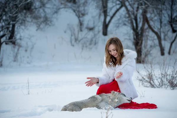 Bela Jovem Mulher Posando Com Huskie Cão Livre — Fotografia de Stock