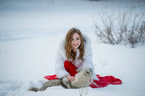 Bela Jovem Mulher Posando Com Huskie Cão Livre — Fotografia de Stock