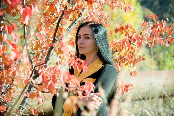 Menina Morena Posando Perto Árvore Com Folhas Outono — Fotografia de Stock