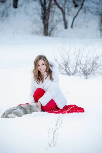 Bela Jovem Mulher Posando Com Huskie Cão Livre — Fotografia de Stock