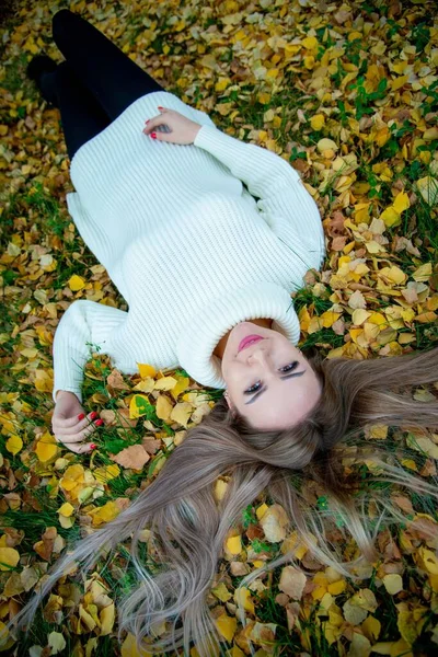 年轻美丽的女子在秋天的公园里摆姿势 — 图库照片