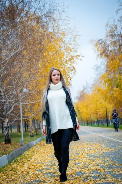 Jovem Bela Mulher Posando Parque Outono — Fotografia de Stock