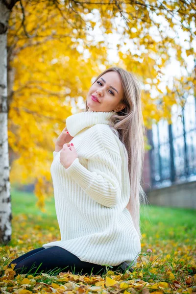 Porträt Einer Jungen Schönen Blonden Frau Die Herbstpark Posiert — Stockfoto