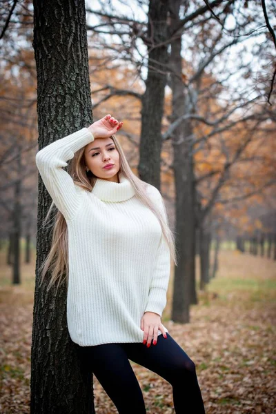 Bela Mulher Posando Livre Parque Outono — Fotografia de Stock