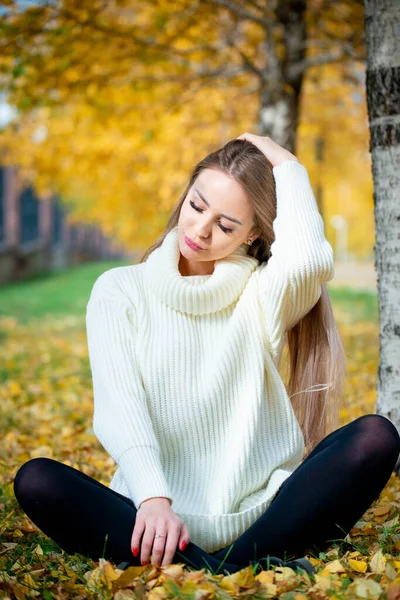 Retrato Joven Hermosa Mujer Rubia Posando Parque Otoño — Foto de Stock