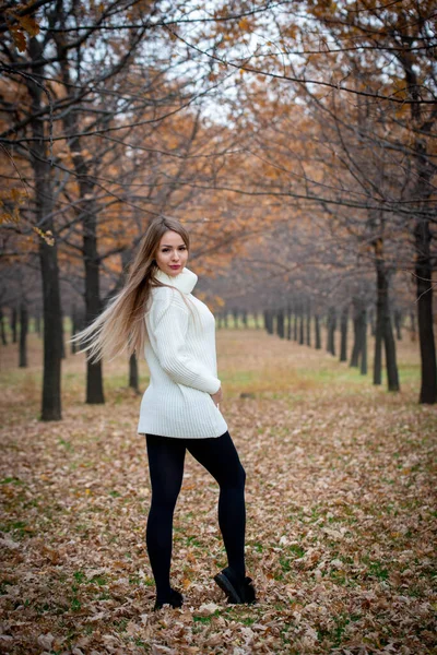 Bela Mulher Posando Livre Parque Outono — Fotografia de Stock