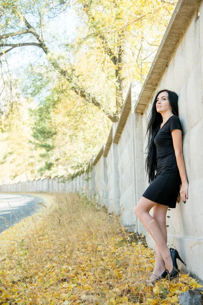 Hermosa Morena Modelo Posando Aire Libre — Foto de Stock