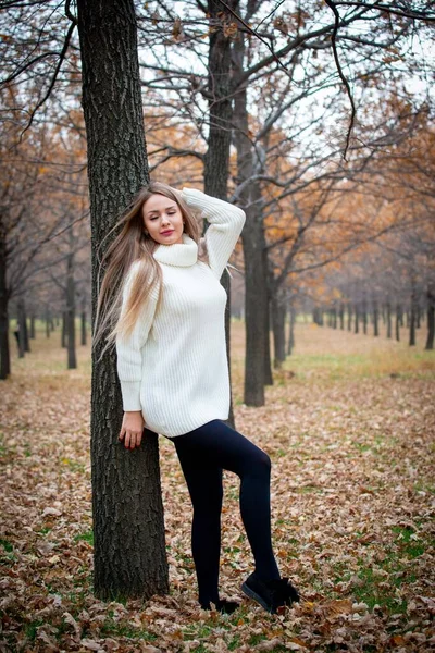 Hermosa Mujer Posando Aire Libre Parque Otoño — Foto de Stock