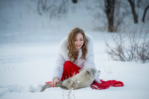 美丽的年轻女子在户外与哈士奇犬合影 — 图库照片