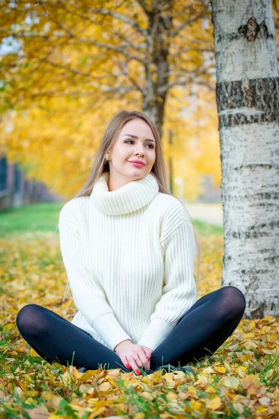 Potret Wanita Muda Pirang Cantik Berpose Taman Musim Gugur — Stok Foto