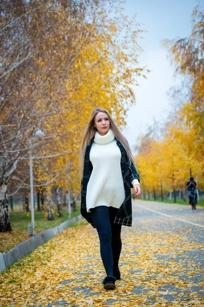 Jovem Bela Mulher Posando Parque Outono — Fotografia de Stock