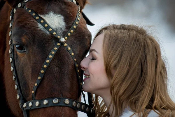 Mulher Bonita Sorrindo Em Frente Ao Cavalo No Pôr Do Sol Imagem de