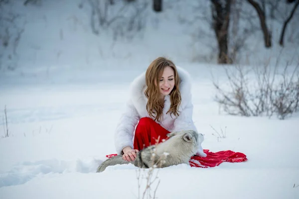 Beautiful Young Woman Posing Huskie Dog Outdoors — Stock Photo, Image