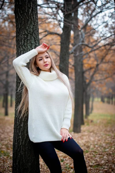 美丽的女人在秋天的公园里摆姿势 — 图库照片