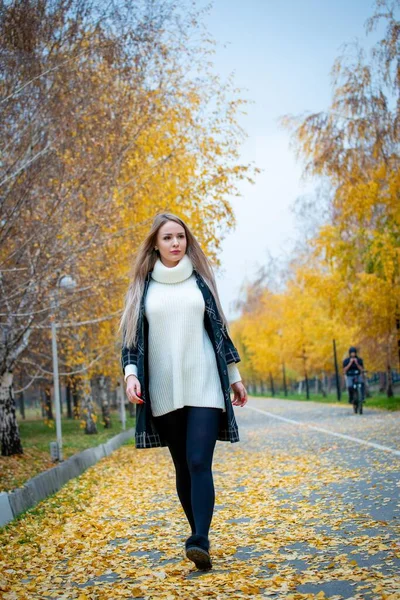 Jovem Bela Mulher Posando Parque Outono — Fotografia de Stock