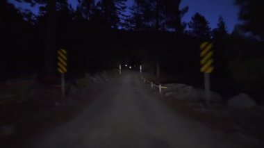 Yüksek Süratli Alp Ormanı Dar Yolu Gece Süratli Kaliforniya