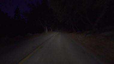 Hiperlapse Alp Ormanı Yolu Gece Süratli Kaliforniya