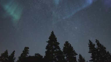 Aurora Samanyolu Kuzeybatı Gökyüzü Çam Ormanının Üzerinde Zaman Süreleri Benzetimi Kuzey Işıkları