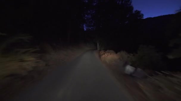 Hyperlapse Driving Alpine Forest Narrow Road Night Time Lapse California — Stock video