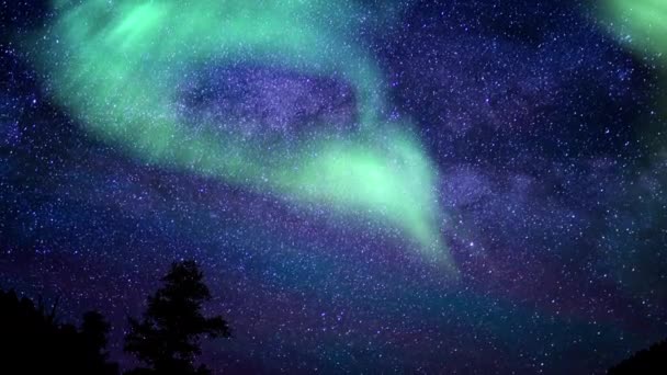 Aurora Borealis Pine Tree Láctea Galaxy Time Lapse Simulated Northern — Vídeo de Stock