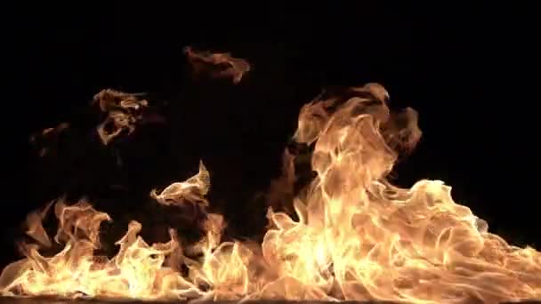 Burning Big Fire 240Fps Slow Motion Loop High Speed Camera — Stock Video