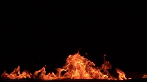 Burning Small Fire Loop 240Fps Slow Motion Loop Hochgeschwindigkeitskamera — Stockvideo