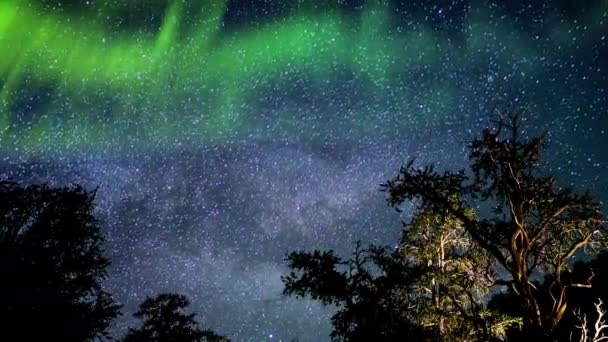 Bristlecone Pino Vía Láctea Galaxy Time Lapse Estrellas Aurora Simulada — Vídeo de stock