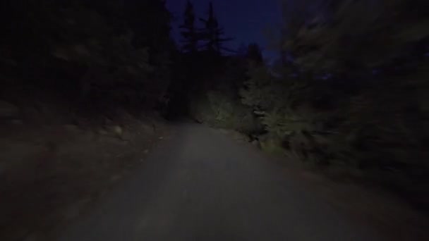 Hyperlapse Driving Alpine Forest Narrow Road Night Time Lapse California — Stock video