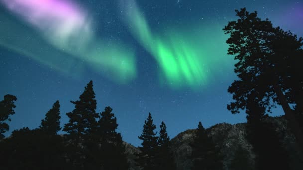 Aurora Borealis Milky Way Βορειοανατολικά Sky Mountain Forest Time Lapse — Αρχείο Βίντεο