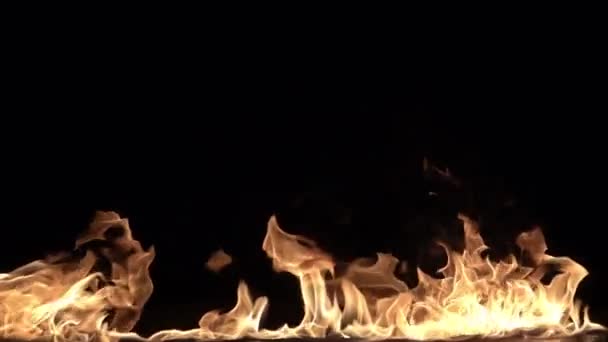 Burning Small Fire Loop 240Fps Slow Motion Loop High Speed — Stock Video