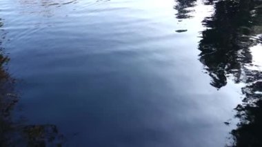 Güzel Su Yüzeyi 'nin yavaş çekim görüntüleri.