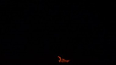 Siyah arkaplanda yanan ateşin yavaş çekim görüntüleri.