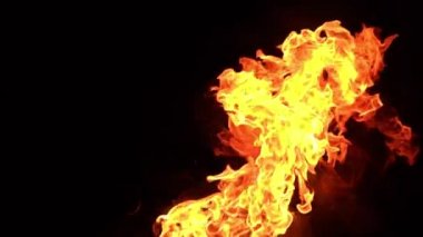 Siyah arkaplanda yanan ateşin yavaş çekim görüntüleri.