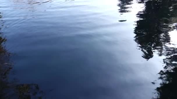 美しい水面のクローズアップスローモーション映像 — ストック動画