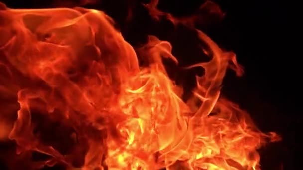 Nahaufnahme Zeitlupe Von Brennendem Feuer Auf Schwarzem Hintergrund — Stockvideo