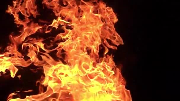 黑色背景下燃烧火力的特写慢镜头 — 图库视频影像