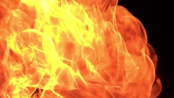 Nahaufnahme Zeitlupe Von Brennendem Feuer Auf Schwarzem Hintergrund — Stockvideo