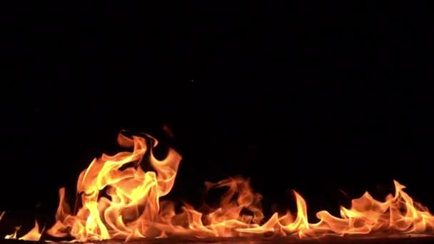 黒い背景の上で火を燃やすというスローモーション映像 — ストック動画