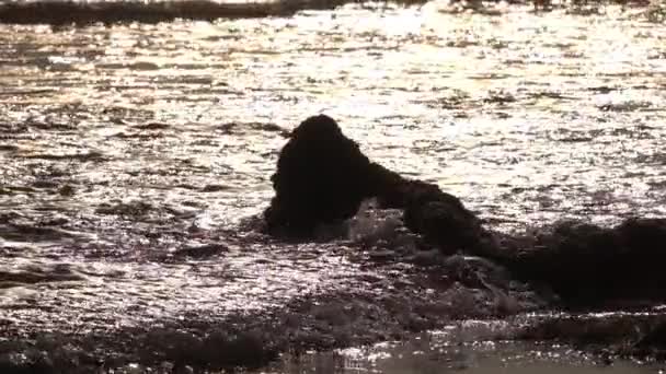 美丽的海浪的特写慢镜头 — 图库视频影像