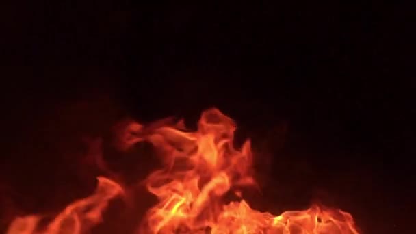 Siyah Arkaplanda Yanan Ateşin Yavaş Çekim Görüntüleri — Stok video
