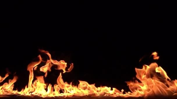 Close Slow Motion Beelden Van Brandend Vuur Zwarte Achtergrond — Stockvideo