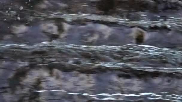 plan rapproché de belles petites cascades au ralenti pour le fond 