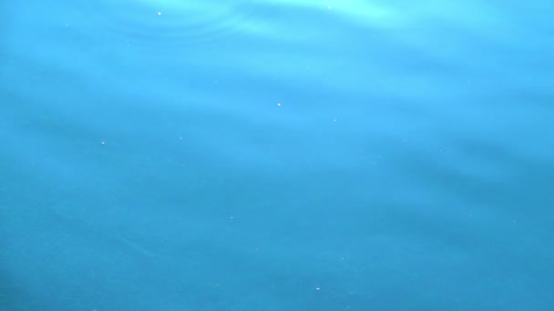 Close Slow Motion Footage Beautiful Water Surface — Stock Video