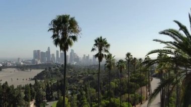 Los Angeles Şehir Merkezi Skyline ve Elysian Park Havacılık Kuruluşunda Palmiye Ağaçları
