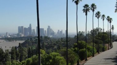 Los Angeles Şehir Merkezi Skyline ve Elysian Park 'taki Palmiye Ağaçları İleride Atış Yapıldı