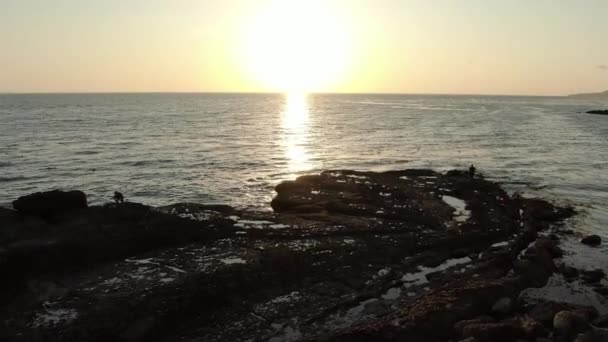 California Coastline Palos Verdes White Point Tide Pool Sunset Aerial — Stock video