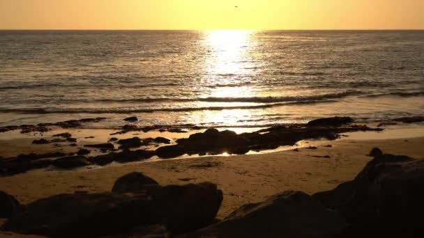 Natursköna Bilder Vacker Solnedgång Över Palos Verdes White Point — Stockvideo